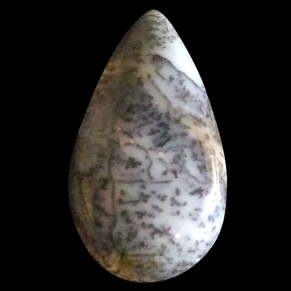 fheBbNAQ[g(Dendritic Agate) EhJ{V