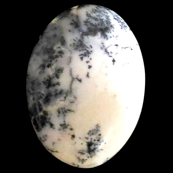 fheBbNAQ[g(Dendritic Agate) EhJ{V