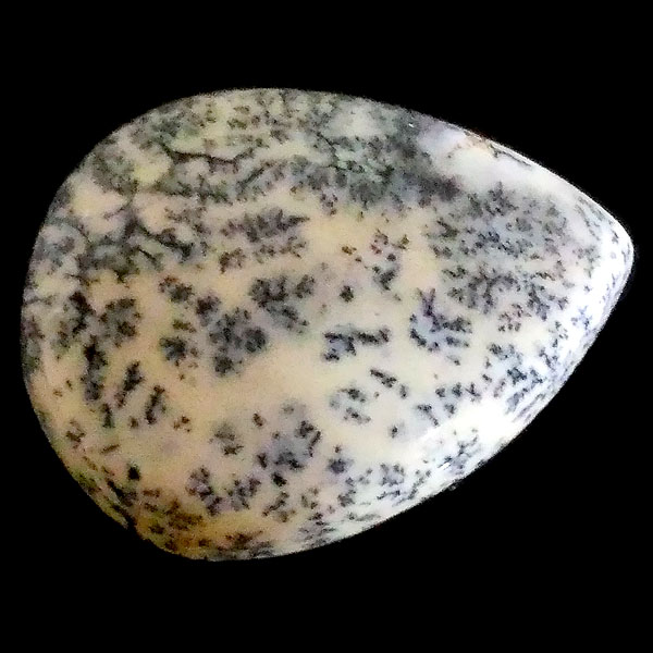 fheBbNAQ[g(Dendritic Agate) EhJ{V