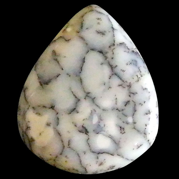 fheBbNAQ[g(Dendritic Agate) EhJ{V