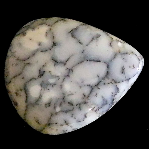 fheBbNAQ[g(Dendritic Agate) EhJ{V