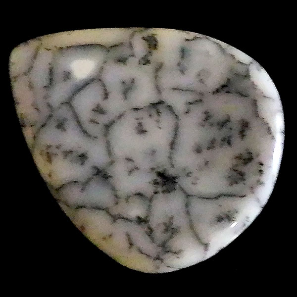 fheBbNAQ[g(Dendritic Agate) EhJ{V