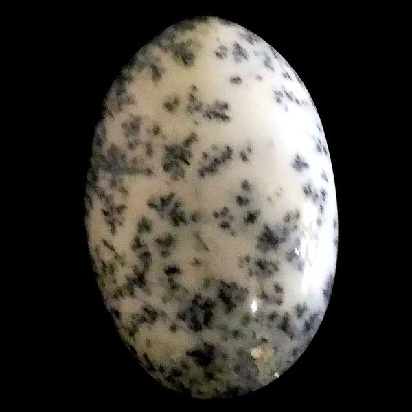 fheBbNAQ[g(Dendritic Agate) EhJ{V