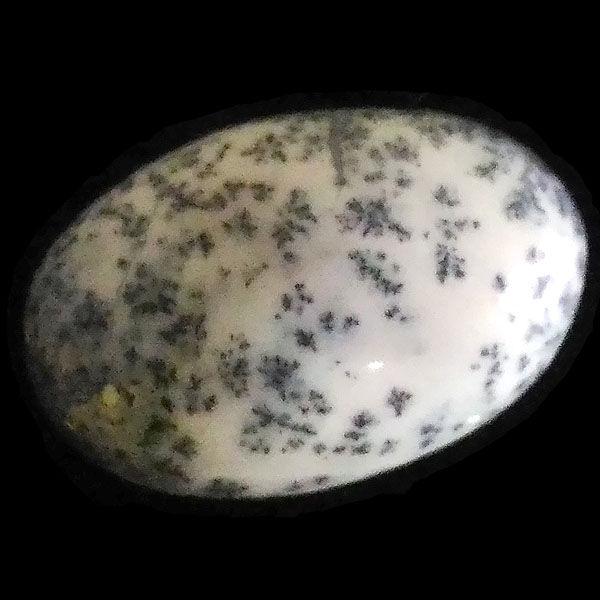 fheBbNAQ[g(Dendritic Agate) EhJ{V