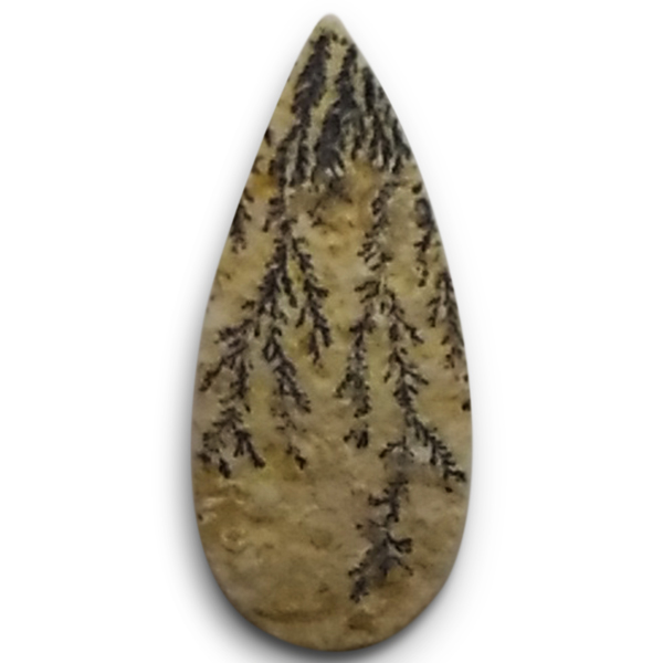 fheBbNAQ[g(Dendritic Agate) EhJ{V