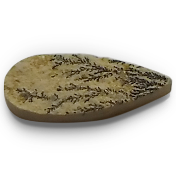 fheBbNAQ[g(Dendritic Agate) EhJ{V