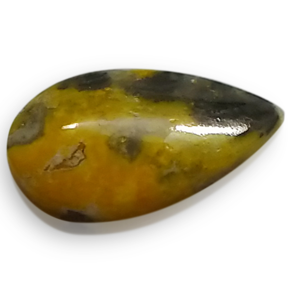 our[WXp[(Bumblebee jasper) EhJ{V