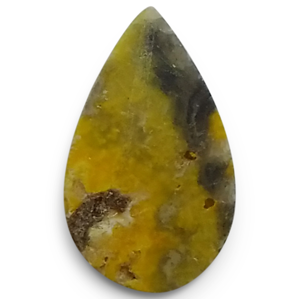 our[WXp[(Bumblebee jasper) EhJ{V