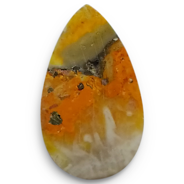 our[WXp[(Bumblebee jasper) EhJ{V