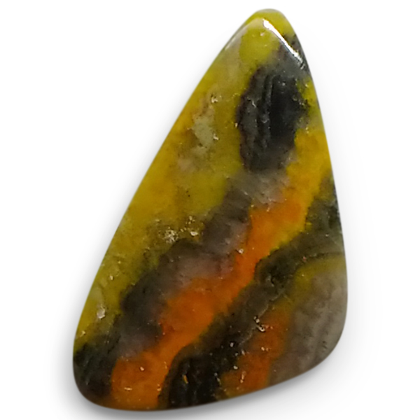 our[WXp[(Bumblebee jasper) EhJ{V