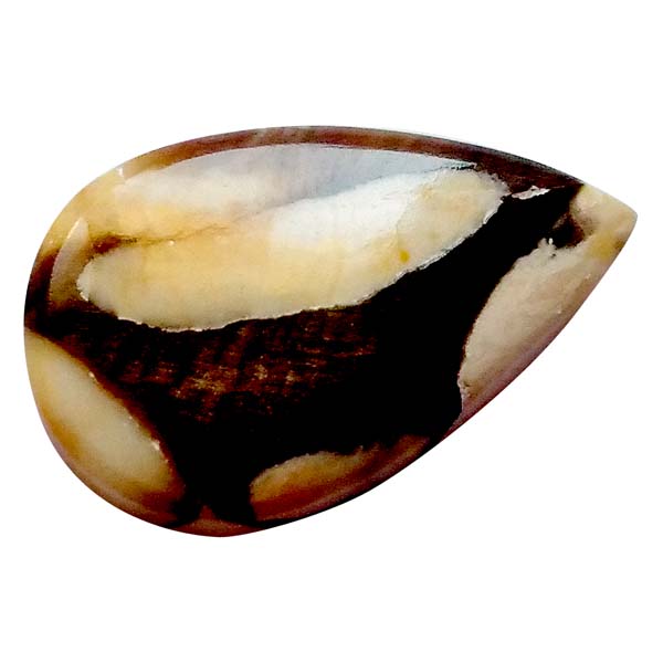 s[ibcEbhWXp[(Peanut Wood jasper) EhJ{V