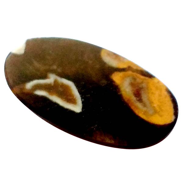 s[ibcEbhWXp[(Peanut Wood jasper) EhJ{V