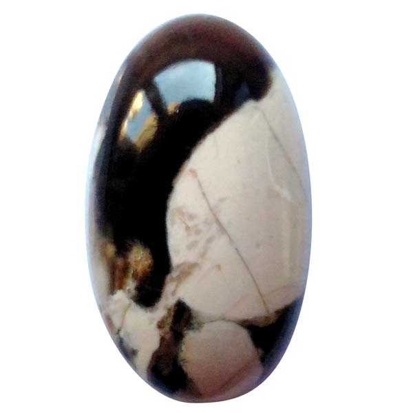 s[ibcEbhWXp[(Peanut Wood jasper) EhJ{V