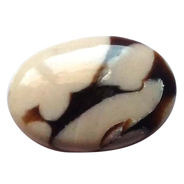 s[ibcEbhWXp[(Peanut Wood jasper) EhJ{V