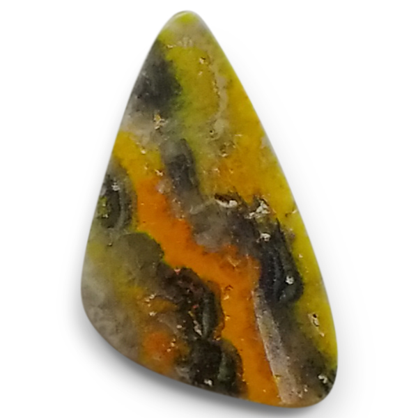 our[WXp[(Bumblebee jasper) EhJ{V