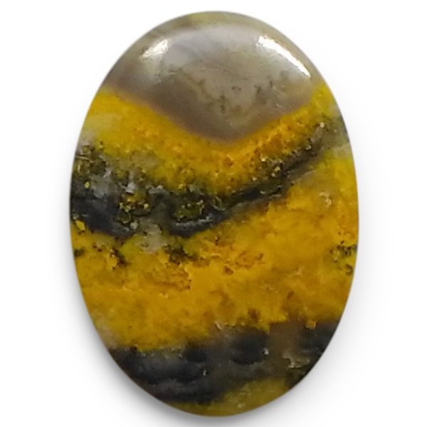 our[WXp[(Bumblebee jasper) EhJ{V