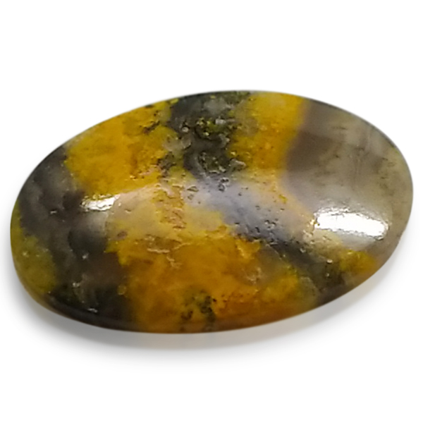 our[WXp[(Bumblebee jasper) EhJ{V