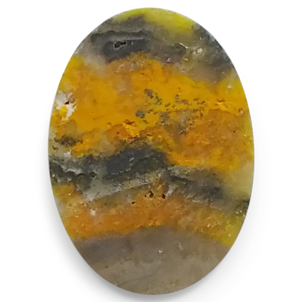 our[WXp[(Bumblebee jasper) EhJ{V