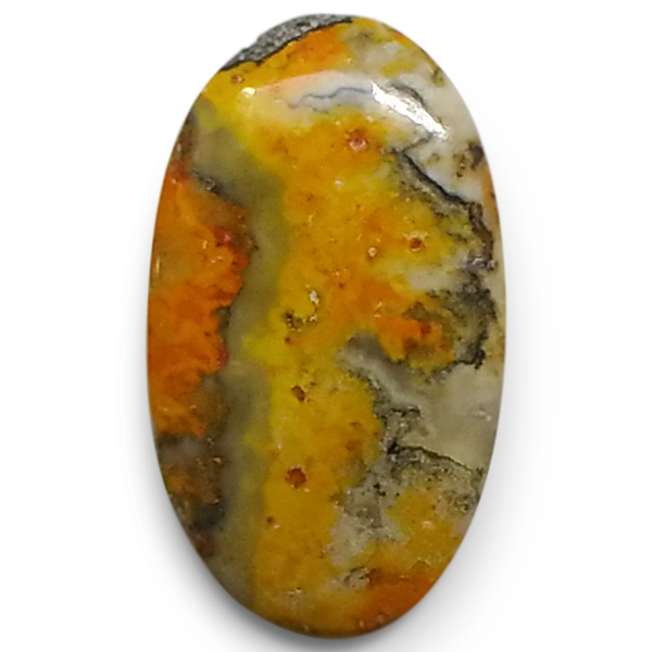 our[WXp[(Bumblebee jasper) EhJ{V