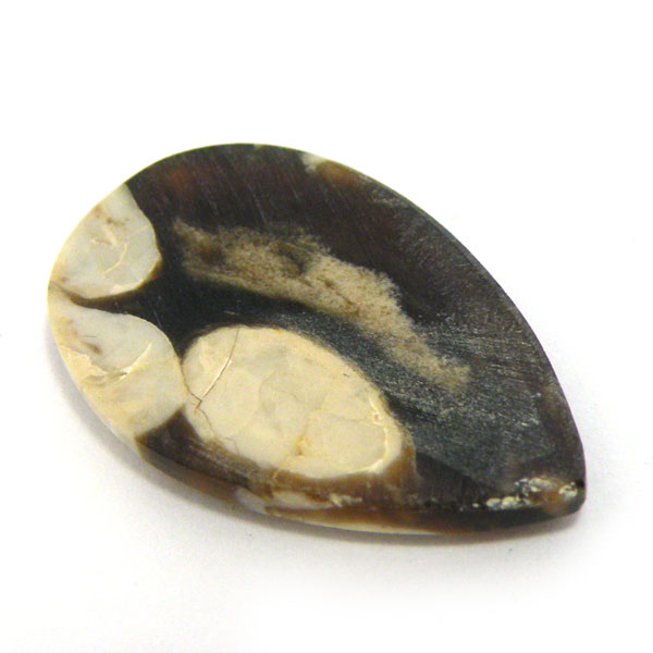 s[ibcEbhWXp[(Peanut Wood jasper) EhJ{V