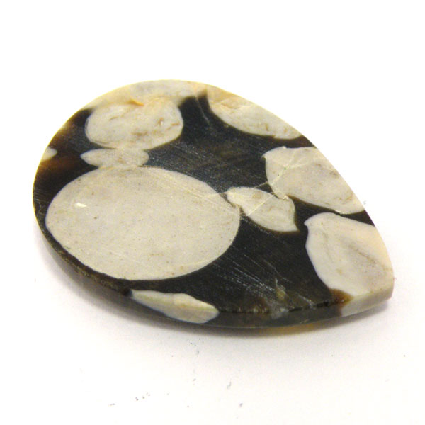 s[ibcEbhWXp[(Peanut Wood jasper) EhJ{V