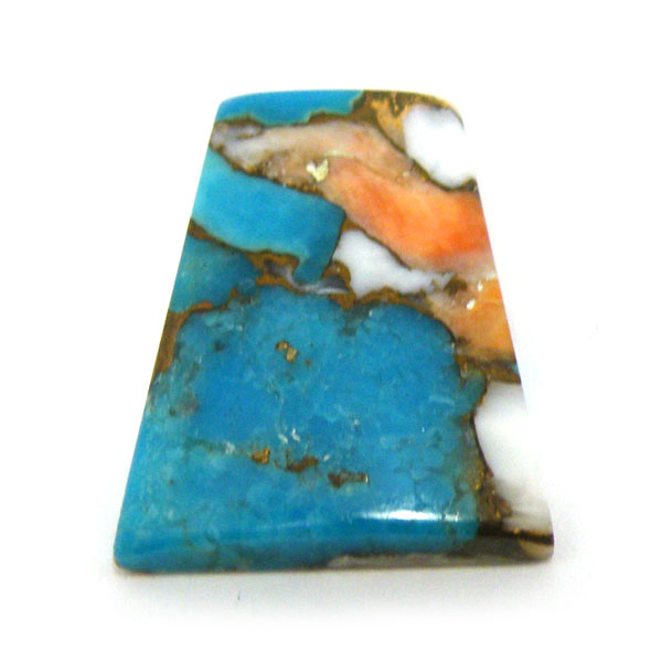コパオイスターターコイズ(Copper Oyster Turquoise) ラウンドカボション