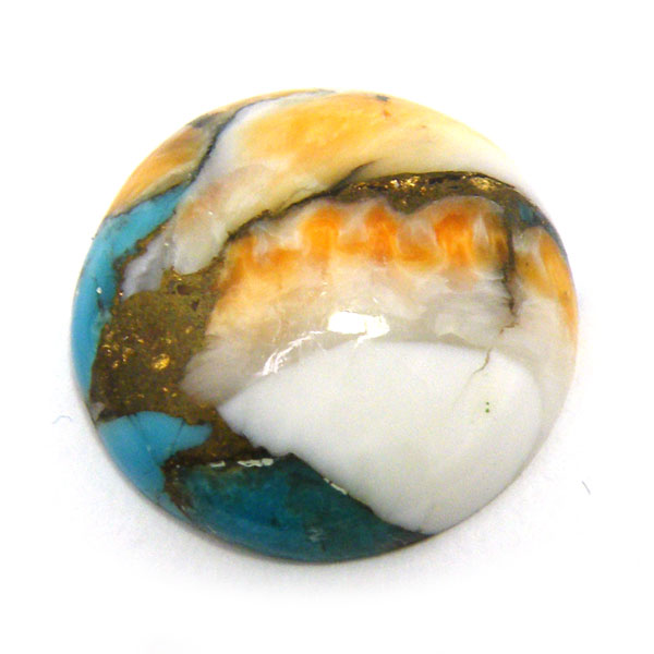 コパオイスターターコイズ(Copper Oyster Turquoise) ラウンドカボション