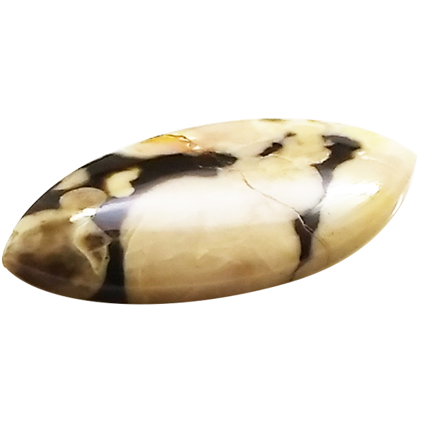 s[ibcEbhWXp[(Peanut Wood jasper) EhJ{V