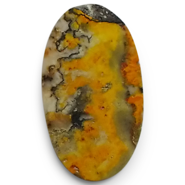 our[WXp[(Bumblebee jasper) EhJ{V