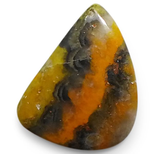 our[WXp[(Bumblebee jasper) EhJ{V