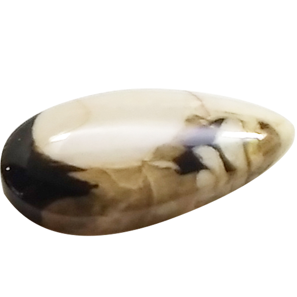 s[ibcEbhWXp[(Peanut Wood jasper) EhJ{V