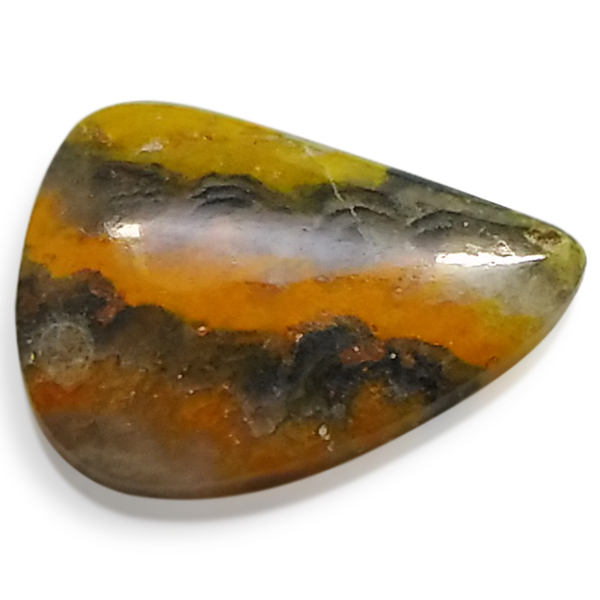 our[WXp[(Bumblebee jasper) EhJ{V