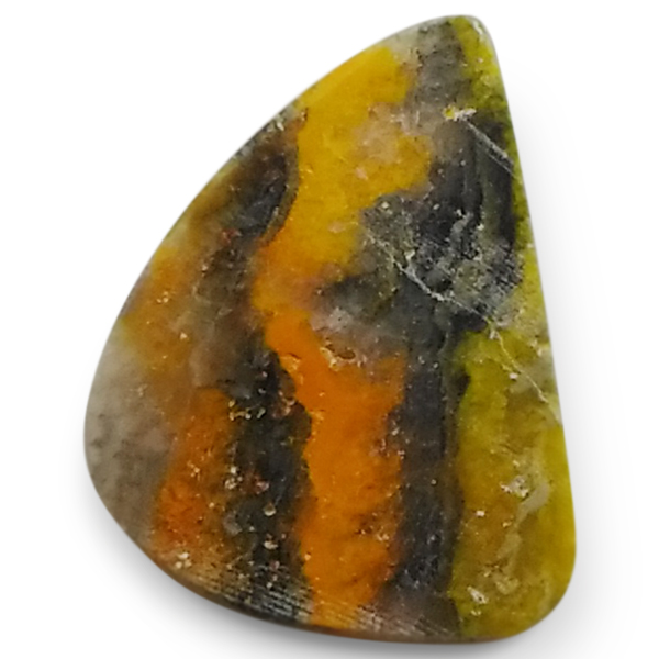 our[WXp[(Bumblebee jasper) EhJ{V