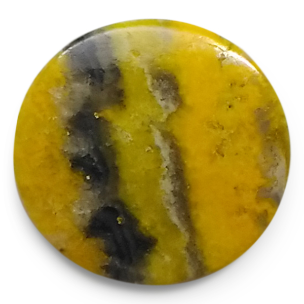 our[WXp[(Bumblebee jasper) EhJ{V