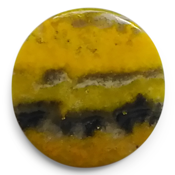 our[WXp[(Bumblebee jasper) EhJ{V