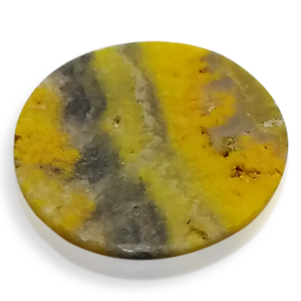 our[WXp[(Bumblebee jasper) EhJ{V