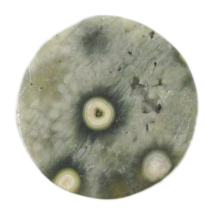 オーシャンジャスパー(Ocean jasper) ラウンドカボション