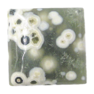 オーシャンジャスパー(Ocean jasper) スクエアカボション
