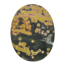 オーシャンジャスパー(Ocean jasper) オーバルカボション