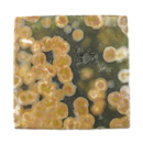 オーシャンジャスパー(Ocean jasper) スクエアカボション