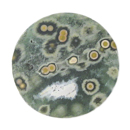 オーシャンジャスパー(Ocean jasper) ラウンドカボション