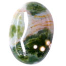 I[VWXp[(Ocean jasper) VR1_̃[X̔