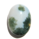 I[VWXp[(Ocean jasper) VR1_̃[X̔
