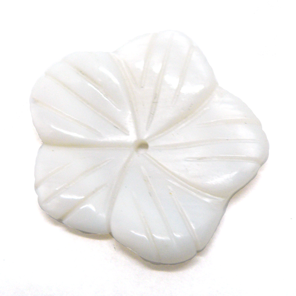`VR΃p[c@VF/}U[Iup[(Shell/Mother of pearl)`