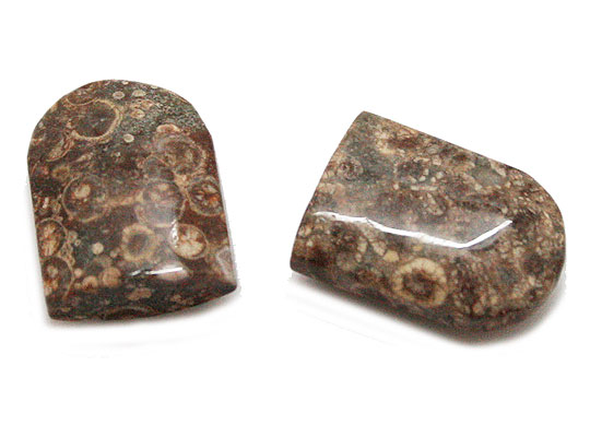 Ip[hXLWXp[(Leopard skin jasper)/`[tp[c