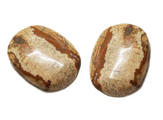 sN`[WXp[(Picture Jasper)/I[op[c