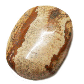 sN`[WXp[(Picture Jasper)/I[op[c