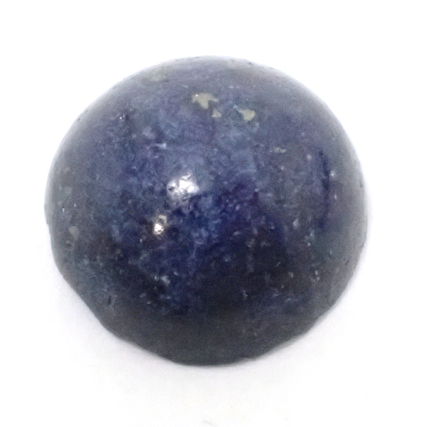 �V�R�� ���[�X