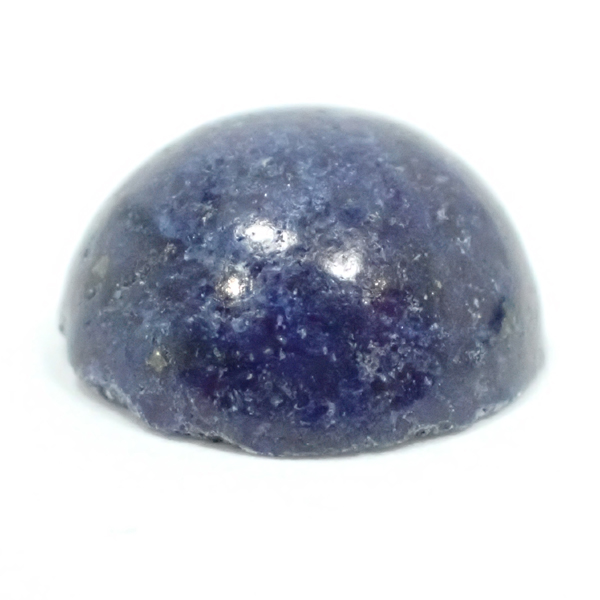 �V�R�� ���[�X