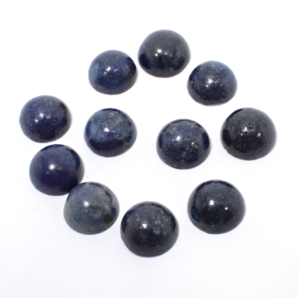 �V�R�� ���[�X